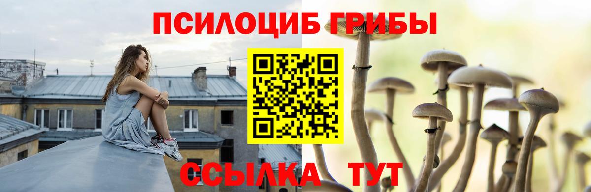 Галлюциногенные грибы Cubensis  Вход с VPN  Кизляр 